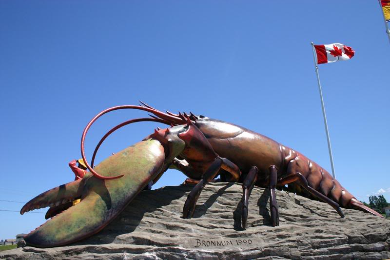 Shediac 001.[1]